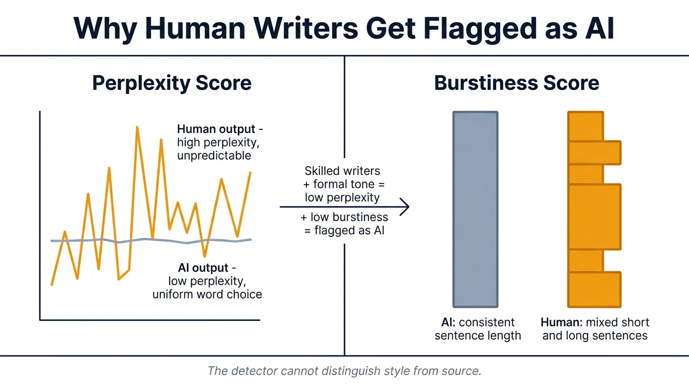 Two-panel diagram comparing perplexity and burstiness scores, showing flat AI output lines versus jagged human writing patterns with amber and navy line art